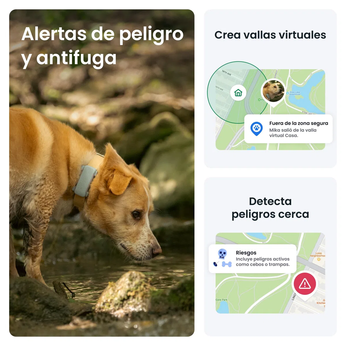 Tractive - GPS perros | 2025 Edición | N.º 1 del mercado | Localización en tiempo real | Alertas antifuga | Monitor de actividad | Avisos de salud | Seguimiento de ladridos (Menta)