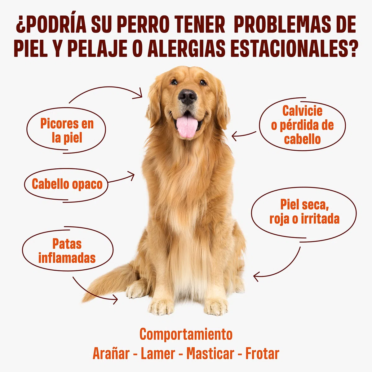 ivvi Skin & Coat Complemento Alimenticio para Perros, Anti-Picor, Pelaje Suave y Brillante - Omega 3, Aceite de Salmón, DHAgold, Vitaminas C, E y Zinc - 60 Golosinas de Salmón