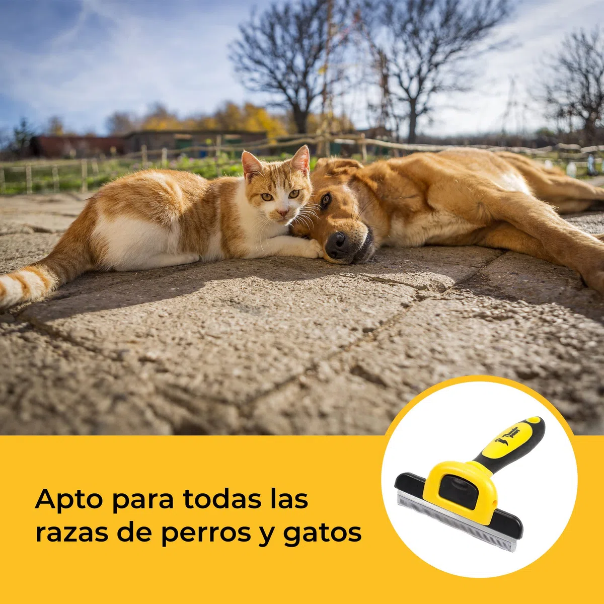 Peine Profesional para Mascotas, Herramienta de Cuidado para Perros, D-Shedz para Razas de Perros, Gatos con Pelo Corto o Largo, Pequeño, Mediano y Grande (Amarillo)