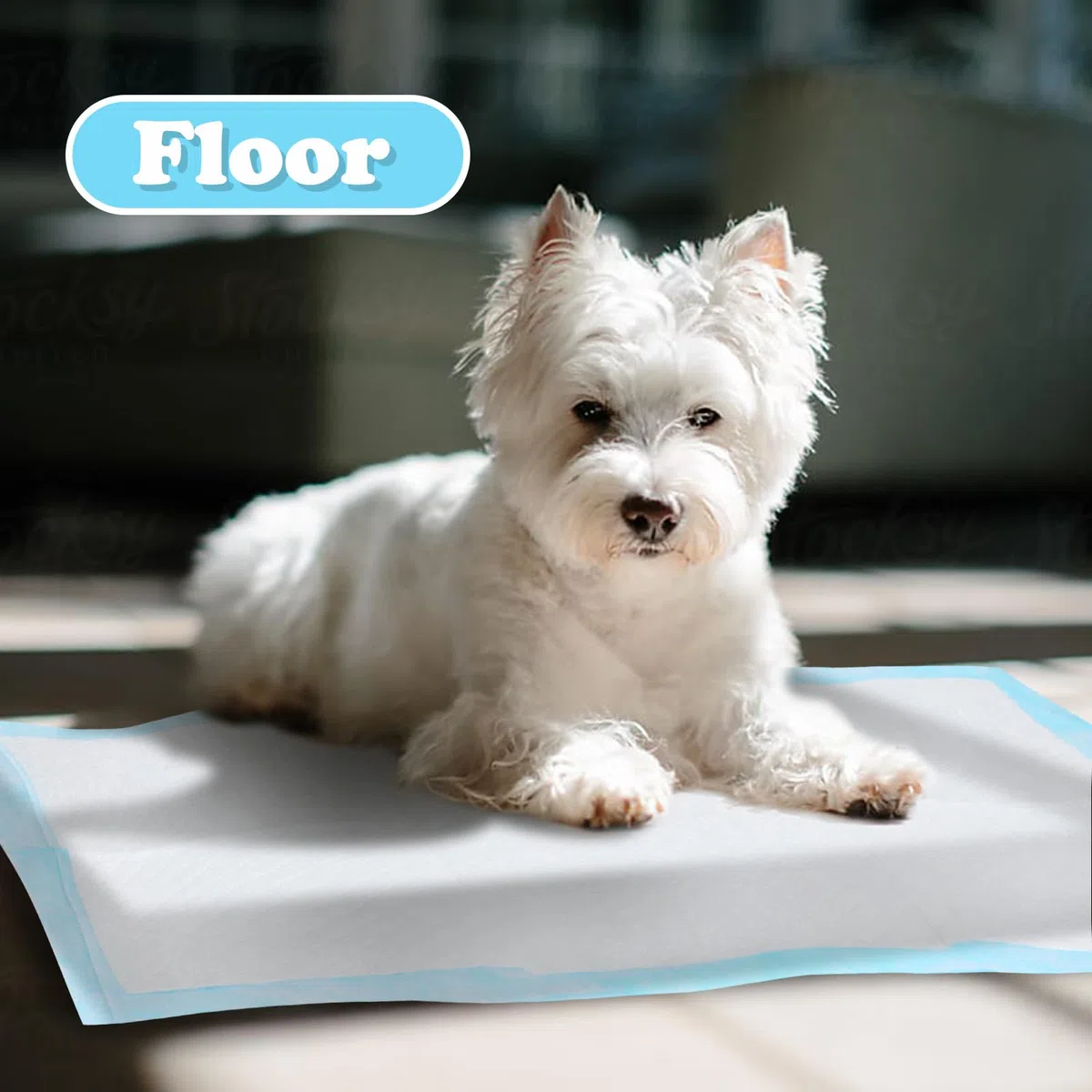 Nobleza - 120 x Empapadores Perros Alfombrilla higiénica de Entrenamiento para Perros. Ultraabsorbente 90cm*60cm