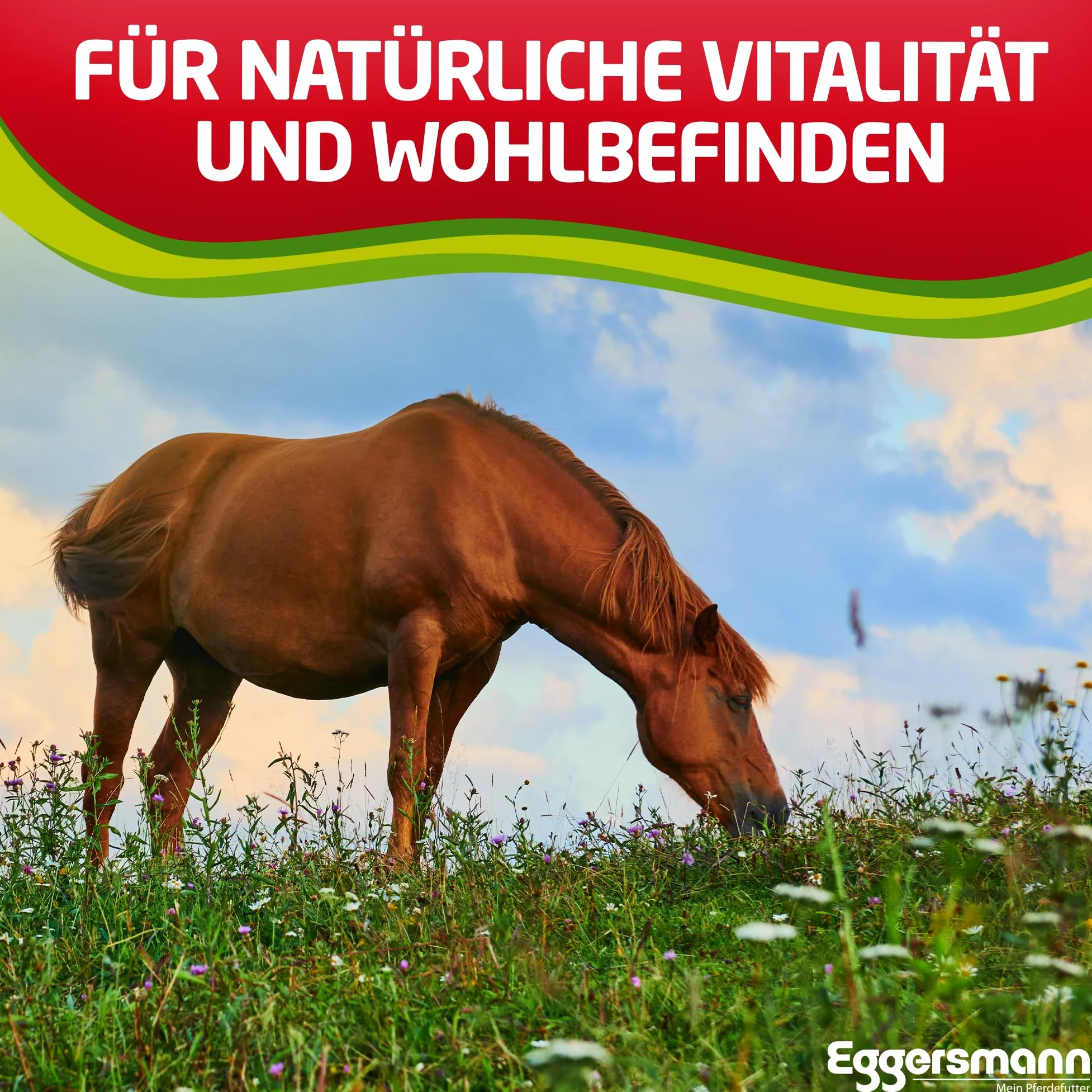 Eggersmann Mein Pferdefutter Ajo Plus 1 kg – Complemento alimenticio para Caballos – contra Moscas, tábanos y Mosquitos, Ayuda al metabolismo y a la Defensa inmune