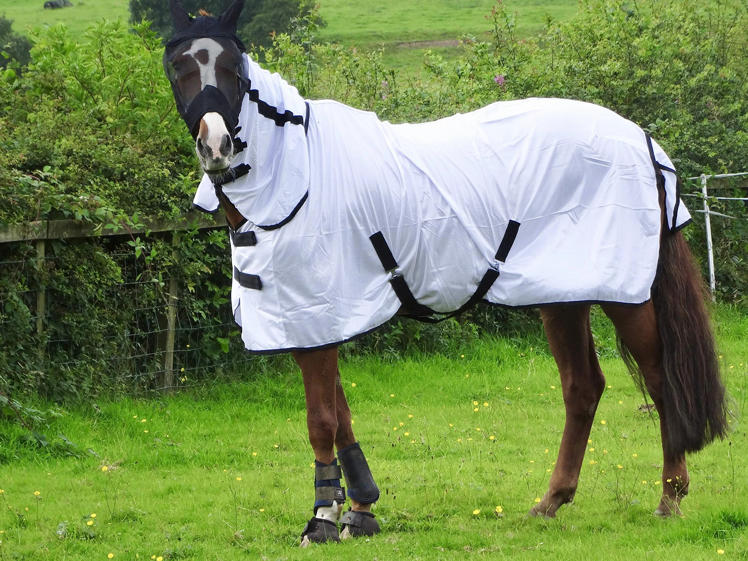 Turner Cool White - Alfombra para caballo, pony, Shetland, ligera, cuello completo, 4 pies 9 pulgadas