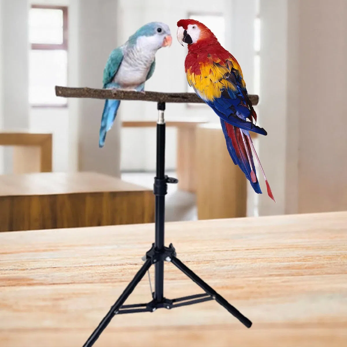 Percha para Loros, Trípode Retráctil de, Rama Trepadora Multiusos, Accesorio para Mascotas, Soporte para Pájaros para Cacatúas Que Juegan.