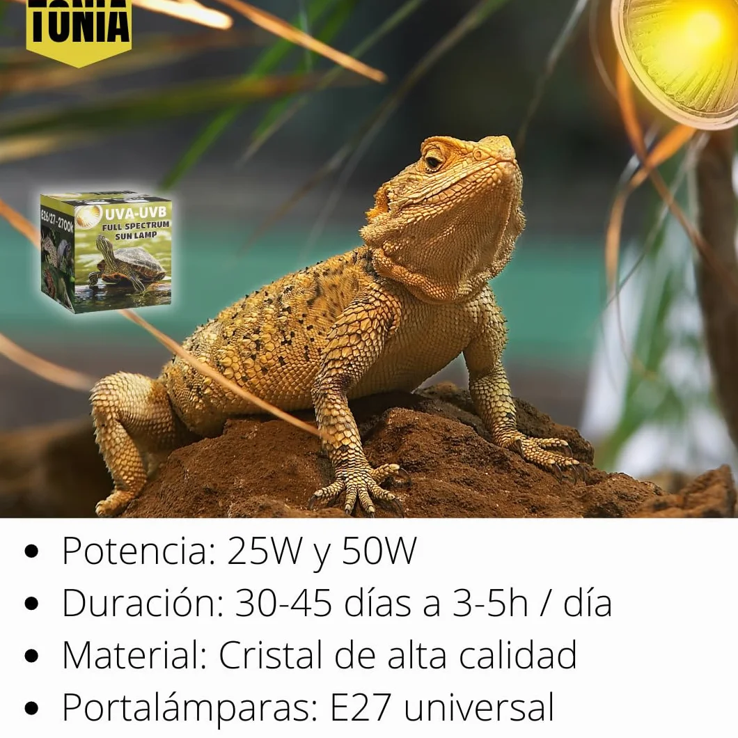 Tonia Kit de 4 Bombillas UVA/UVB + Portalámparas para Reptiles – 2x25W + 2x50W – Luz Solar de Espectro Completo para Terrarios y Acuarios Tortugas, Camaleones – 360º