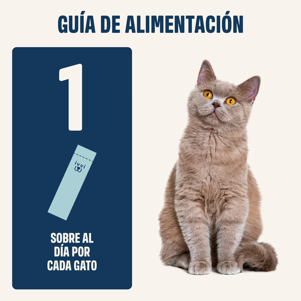 ivvi Hip & Joint Essence para Gatos – Crema Funcional para Las Articulaciones con Glucosamina, Condroitina, Mejillón de Labios Verdes y Aceite de Salmón – Ayuda Articular – 30x15g – con Atún Real