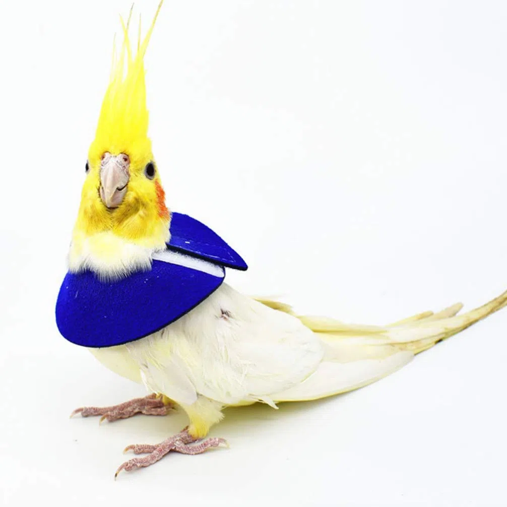 ULTECHNOVO Collar De Recuperación para Pájaros Pequeños Ajustable Anti Mordeduras Y Anti Lamidos para Loros Protector De Cuello para Cuidado Y Recuperación De Lesiones 4 Piezas