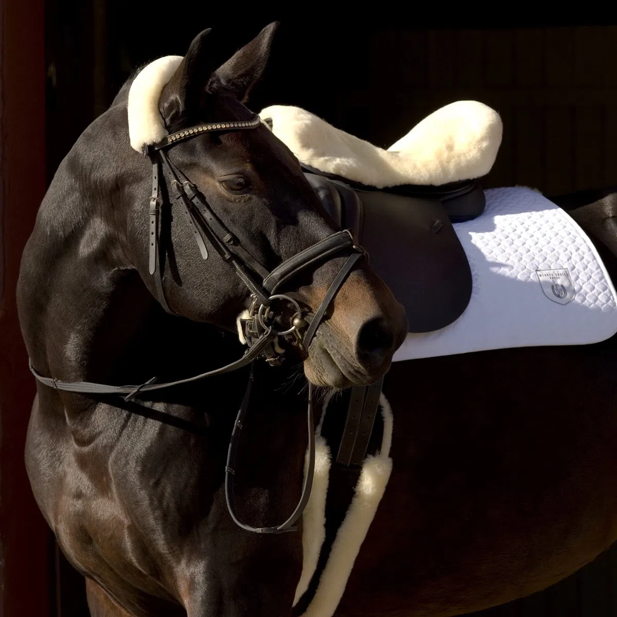 CHRIST Revestimiento de Borrego Natural para Silla Inglesa Cubierta, Zalea o Funda de Piel de Cordero para Montura Inglesa de Caballo. Tallas: Pura Sangre (15,5“-17,5“) y Poni (14,5“-15,5“)