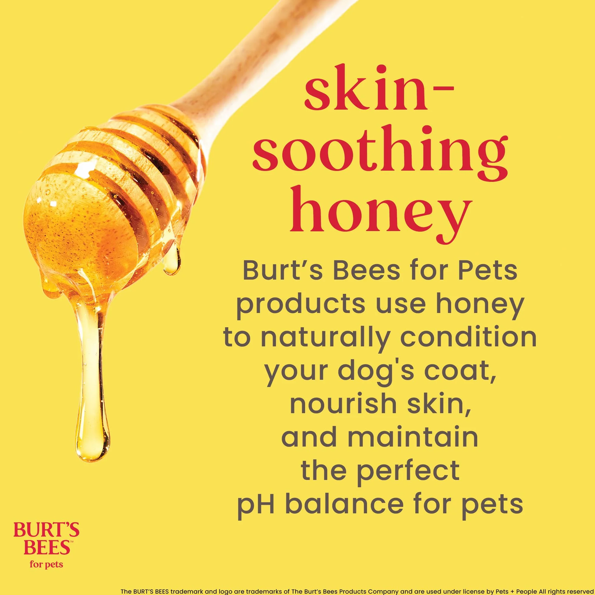 Burt 's Bees - Champú para gato, natural, hipoalergénico