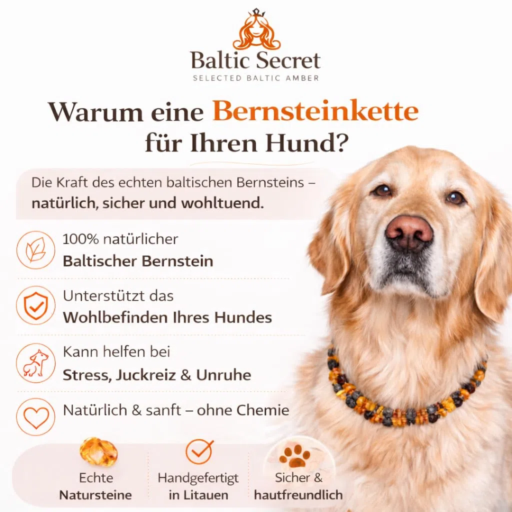 Collar de ámbar para perros y gatos – de 20 cm hasta 68 cm – cadena de ámbar, collar de protección contra garrapatas