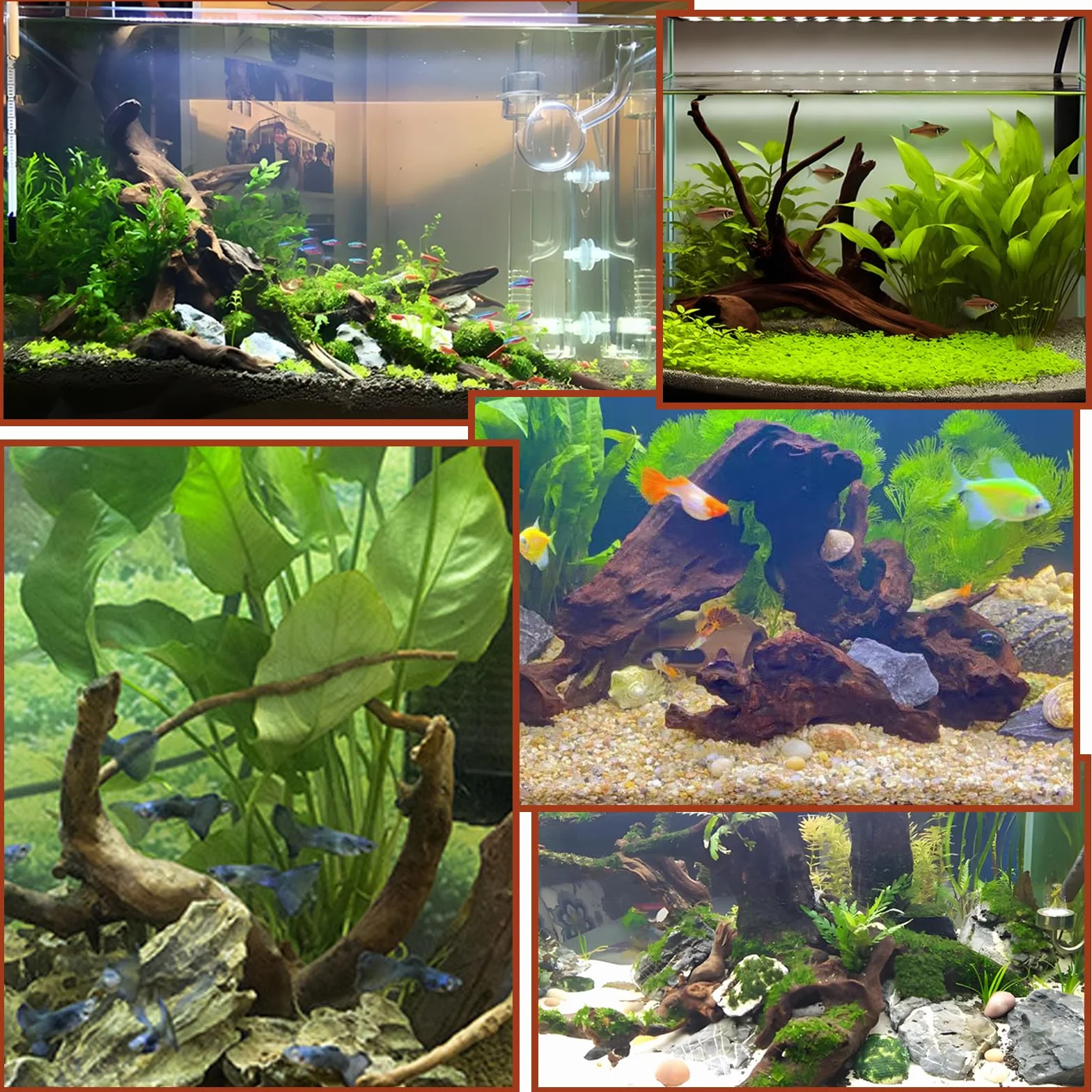 4 piezas de madera flotante para acuario, pecera, madera natural, sin rebabas, decoración de pecera, piezas pequeñas para acuarios, microacuarios, paisaje duro