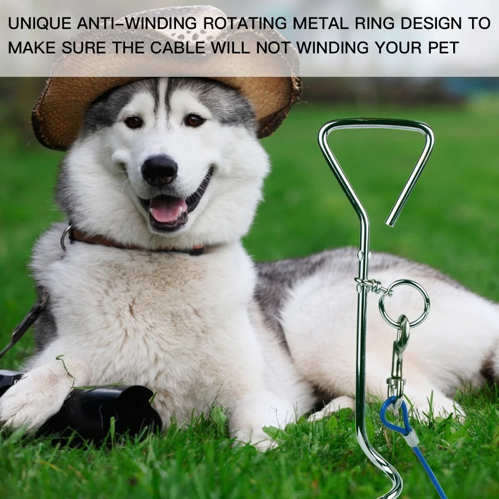 Correa De Perro (3 M / 5M / 10M) con Espiga De Estaca En Tierra Espiral De 46 cm- Salida para Patio Al Aire Libre Y Acampada - Perros PequeñOs A Medianos (3M, Azul)