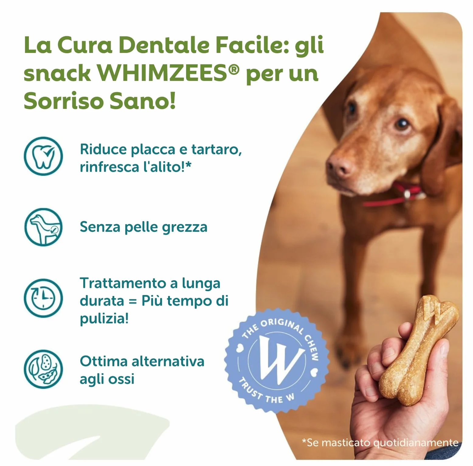 WHIMZEES Caja Surtida L, 30 Piezas – Talla L, Golosinas para Perros Grandes, Naturales y Sin Cereales, Vegetarianas, Sin Azúcares Añadidos