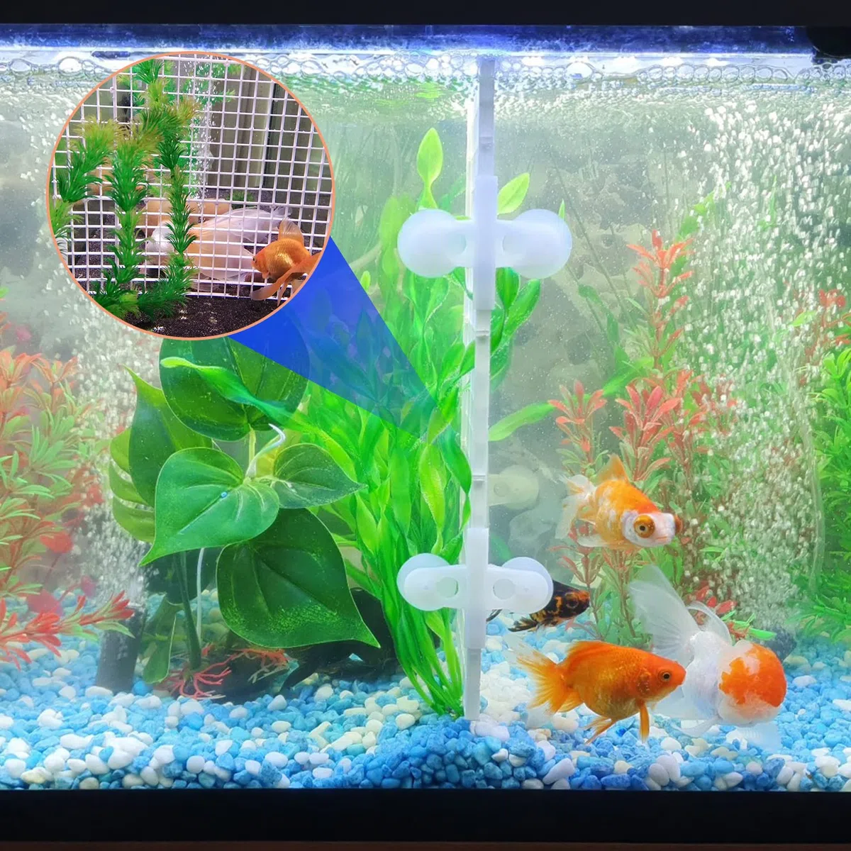 8 Pcs Divisor de Acuario Separador de Acuario Divisores de Pecera Separador de Tanque de Peces Rejilla de Plástico con 8PCS Clips de Ventosas para Mantener a Los Diferentes Peces de La Pelea