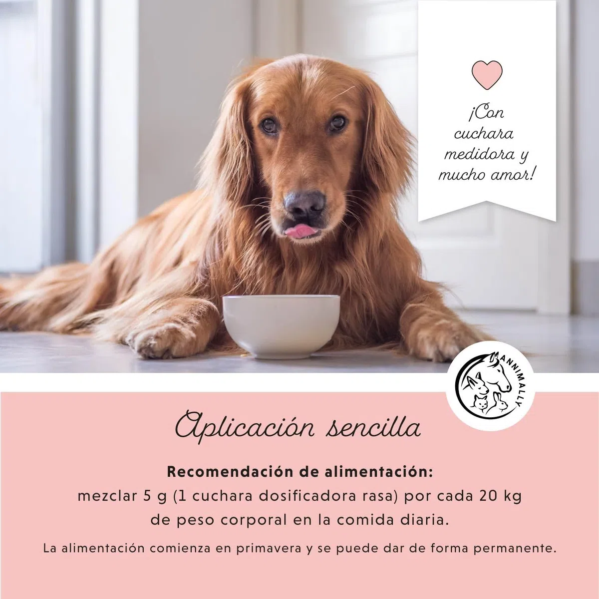 Annimally Complemento Alimenticio para Perros con Aceite de Comino Negro, Cistus, Levadura de Cerveza y Algas Marinas – Fórmula Natural en Polvo de Fácil Administración para Piel y Pelaje - 400 g