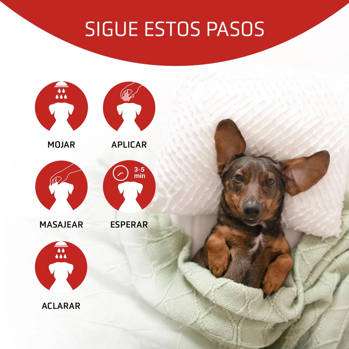 Artero Scarlet Vital Mascarilla Intensificadora de Color para Perros de Tonos Rojos, Marrones, Chocolates y Apricot. 100 ml