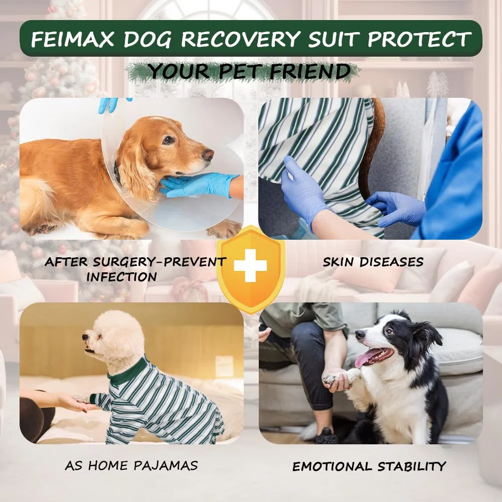 FEimaX Traje de Recuperación para Perros Después de la Cirugía, Protector de Heridas Abdominales para Perros Hembras y Machos, Body Quirúrgico de Manga Larga para Mascotas (Verde, XL)