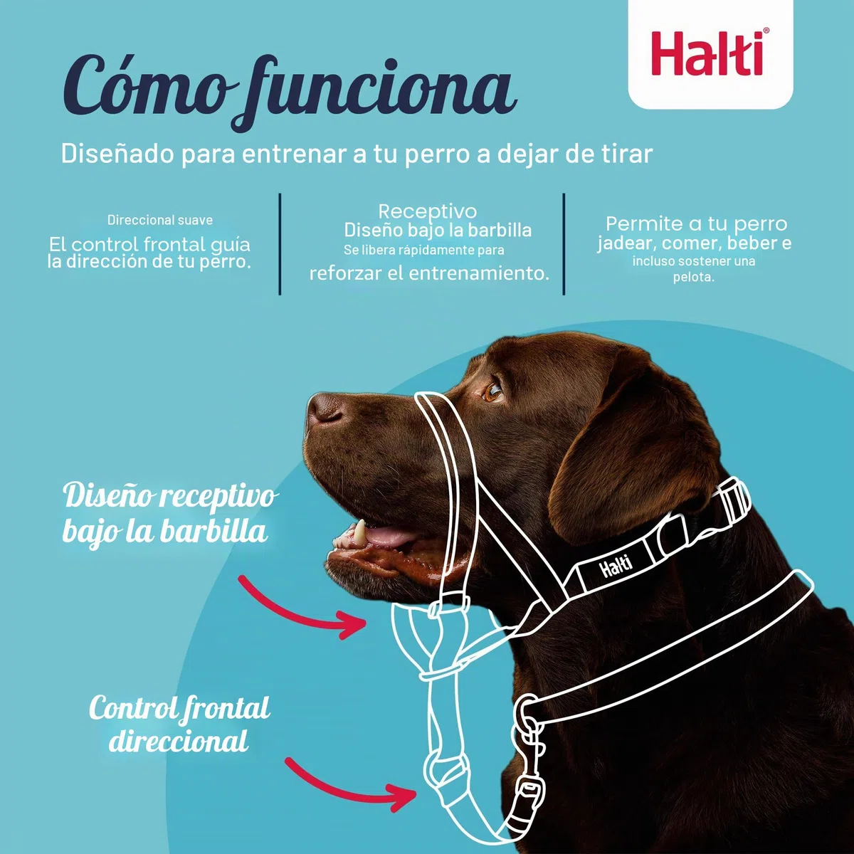HALTI Headcollar Talla 3, Negro y Correa de Entrenamiento HALTI tamaño Grande, Paquete Combinado Negro - Evita Que tu Perro Tire de la Correa. Ajustable, Ligero con Banda para la Nariz Acolchada.