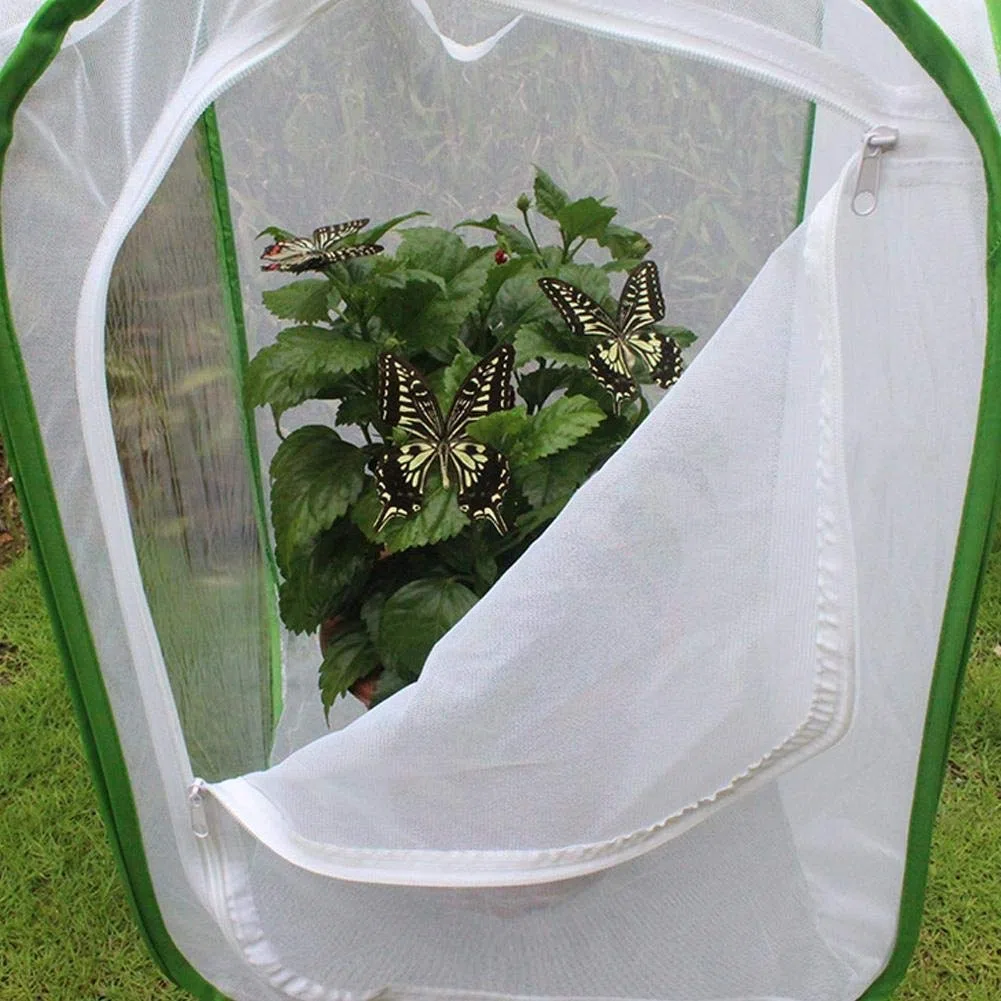 MAGT Insect Cage, Butterfly House cría de Insectos Jaula Hábitat Jaula Grande Plegable portátil Duradero ventilada de la Mariposa de la Polilla de la cría de Animales de cría Display Cage (L)