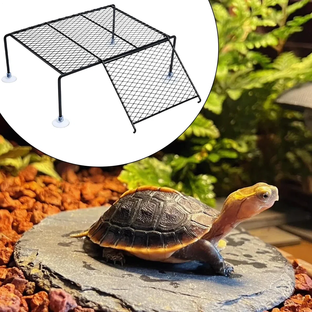 Plataforma De Descanso Para Tortugas Terrestres Y Acuáticas, Base Flotante Con Rampa De Escalada, Soporte Antideslizante Resistente, Terrario Acuario Reptiles Tortugas De Agua Y Terrestres Hogar Masco