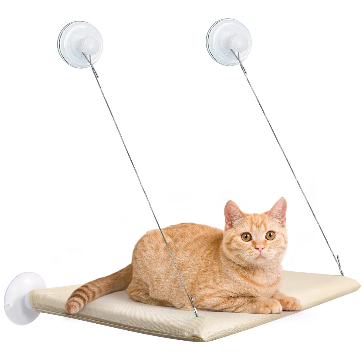 Cirulli Hamaca de Ventana para Gato, Cama Colgante de Interior Reclinable para Gatos de hasta 25kg, Grande para Siesta y Tomar el Sol