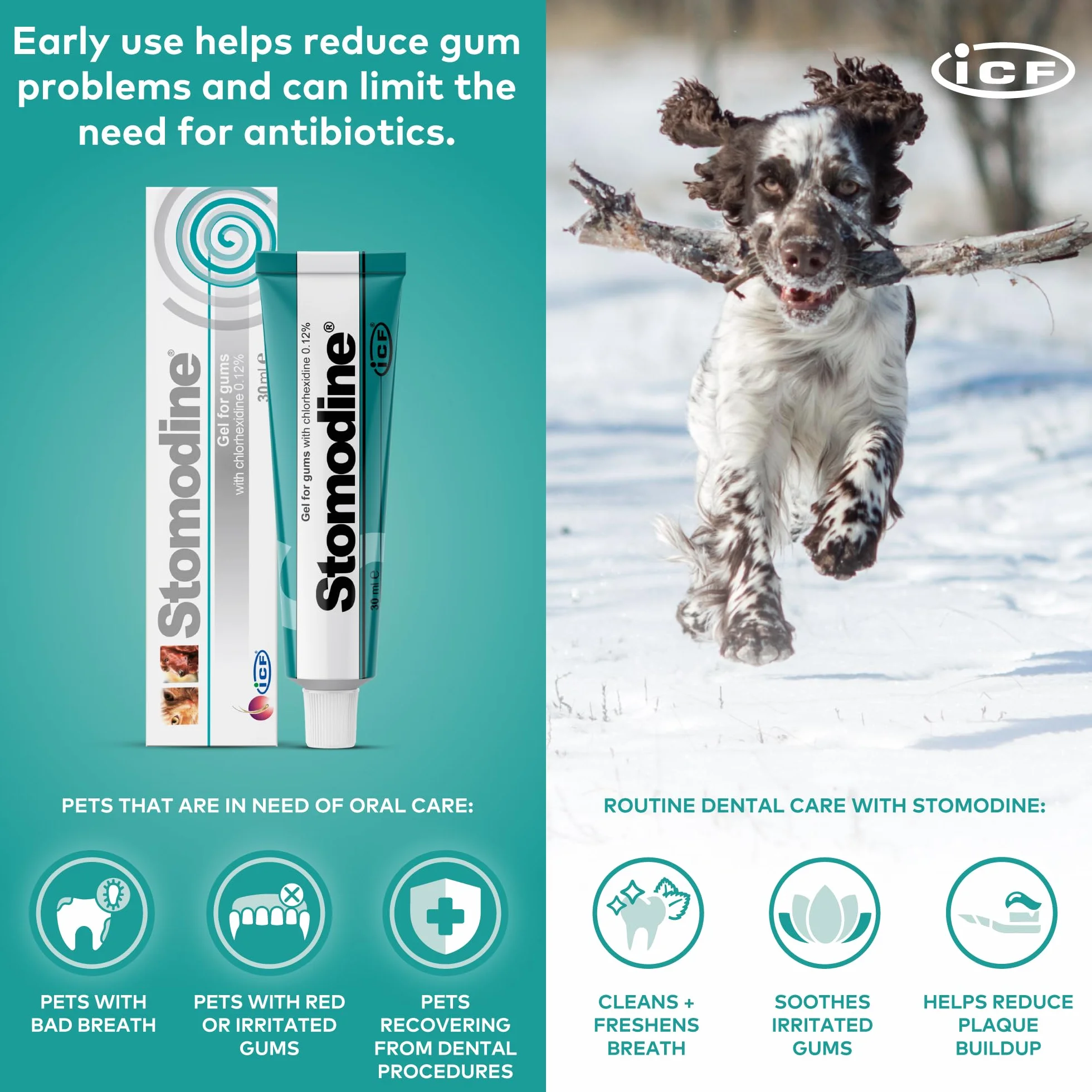 Fatro Stomodine Pasta Dental Antisarro para Perros y Gatos - 30 gr