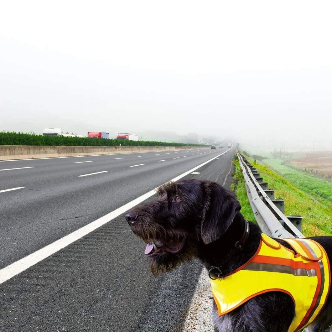Chaleco reflectante de seguridad para perros de caza a la deriva y paseos en la oscuridad, color amarillo y naranja con rayas reflectantes (XL)