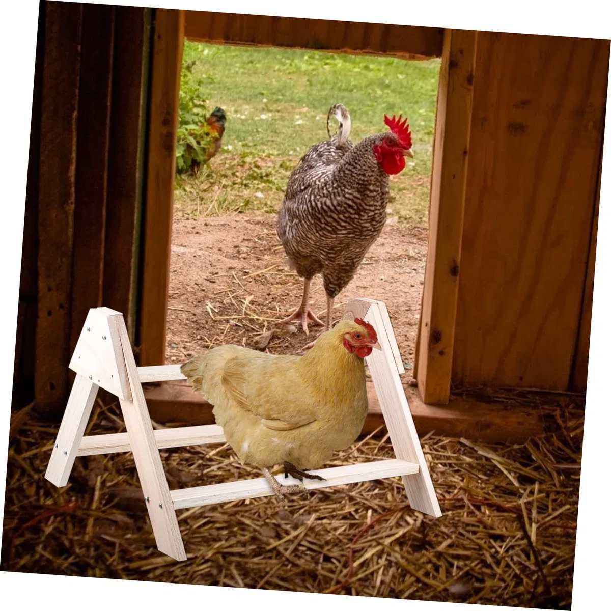 HANABASS Perchero De Madera y Superficie Pulida Diseño Único para Aves Pequeñas Corral Accesorio De Enriquecimiento para Jaula y Ejercicio
