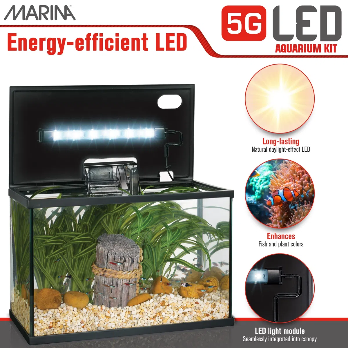 Marina Kit de Acuario con Iluminación LED 5G, 19 L
