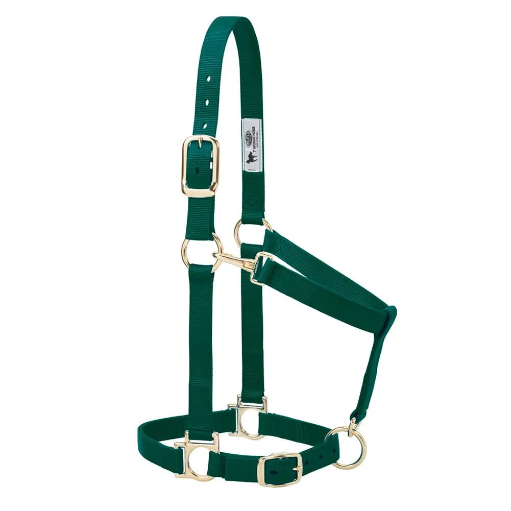 Weaver Leather Cabestro básico Ajustable de Nailon, Verde Cazador, Caballo Promedio de 1 Pulgada