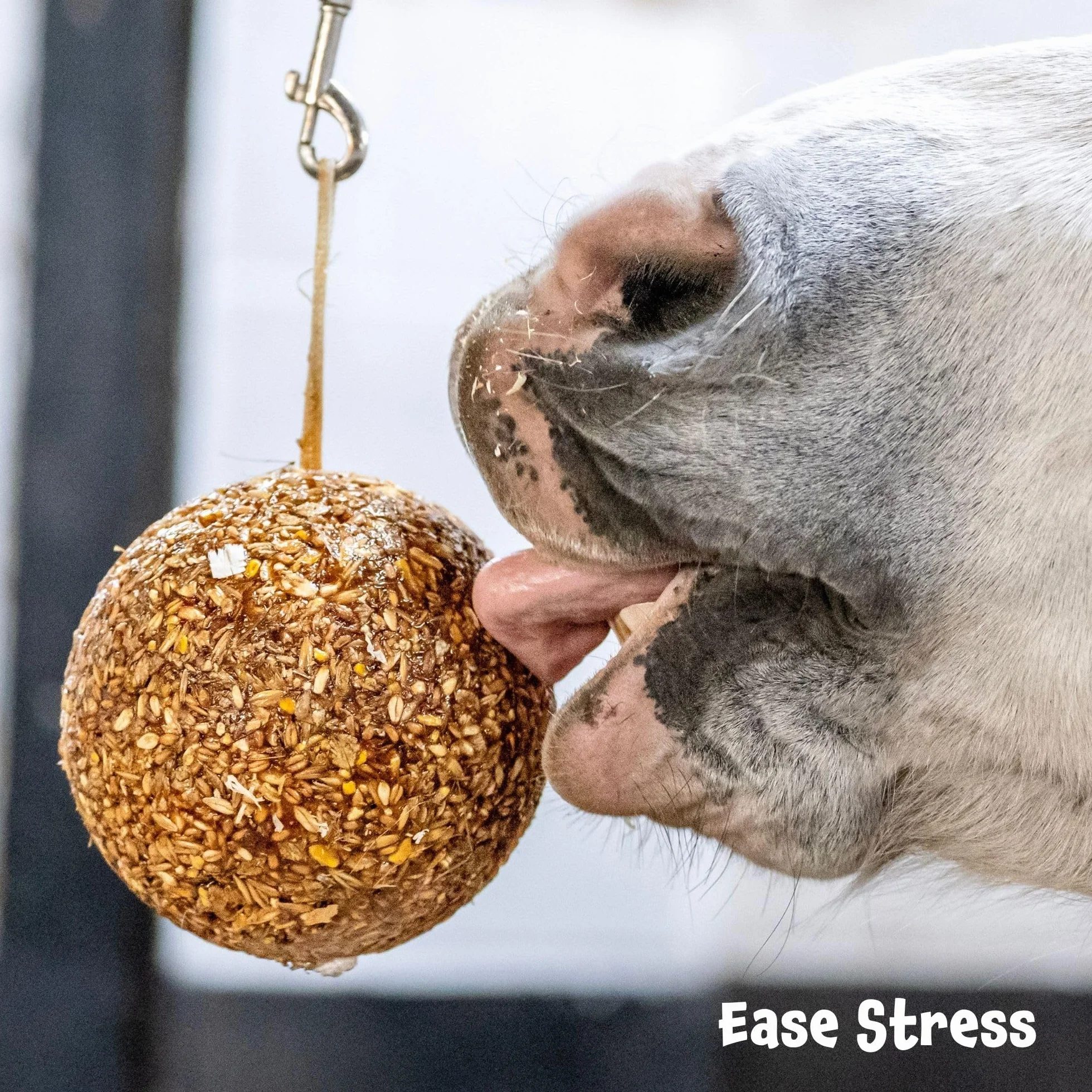 Likit: Juguete para Caballos, Piedra de Fuga con Sabor a Mezcla de Bayas Coloridas, 1.6 Kilogramos