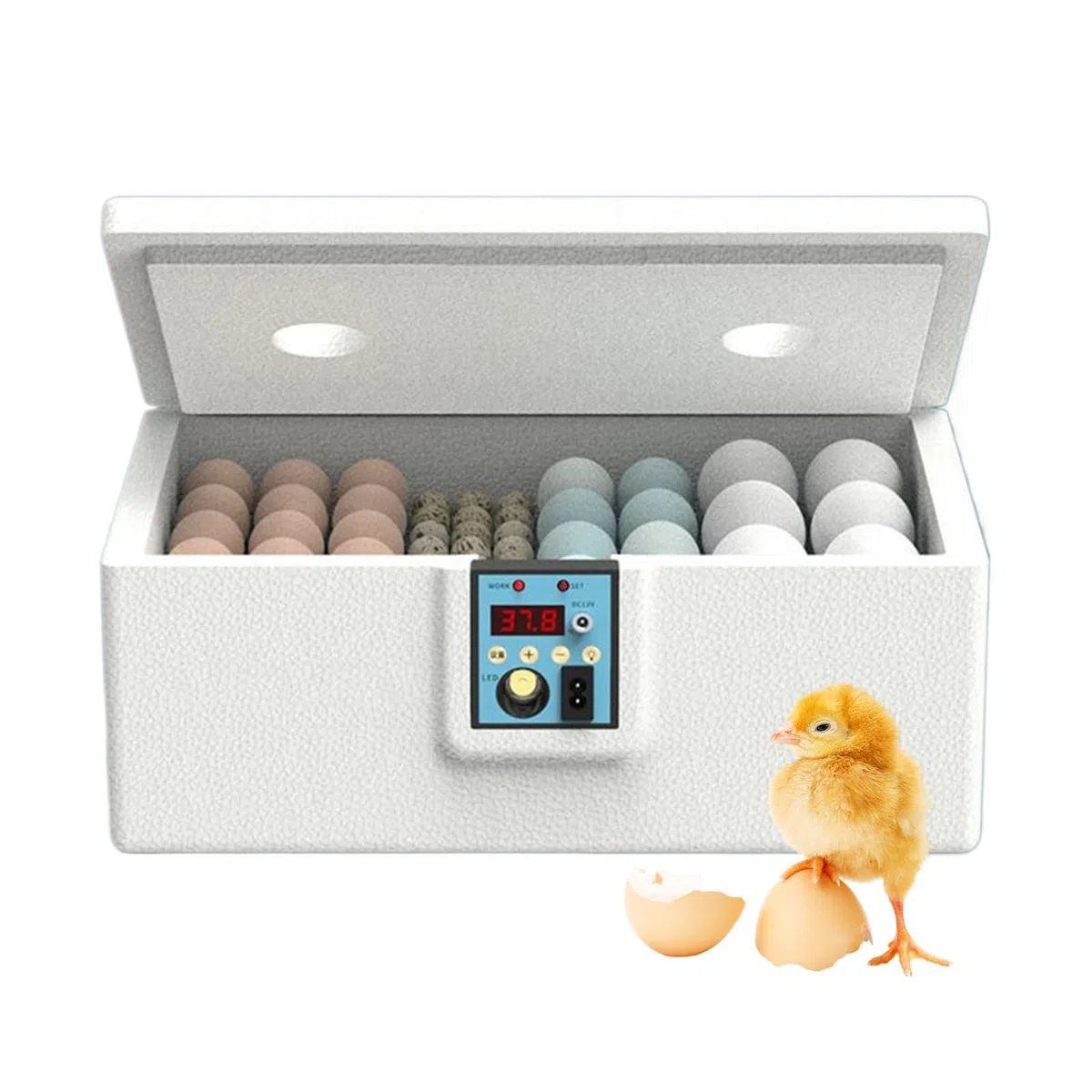 incubadora Huevos gallina, 29x26x17cm incubadora de Huevos para 10-25 Huevos, Carga USB Semi incubadora a, pequeña criadora avícola Inteligente con volteo automático para cría y eclosión