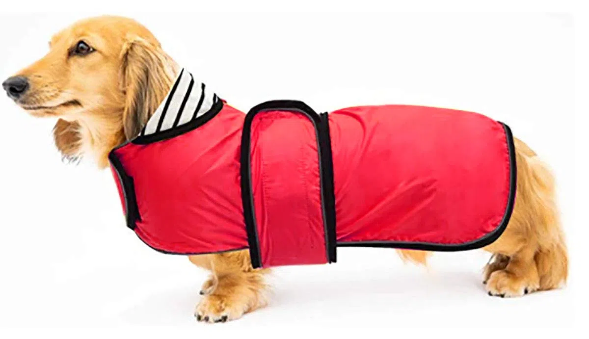 Geyecete-Chubasquero Perro para Salchicha,Impermeable Perro Chaqueta con Correas Reflectantes/Agujero para Arnés,Ajustable Ligera Dachshund Raincoat-Rojo-L