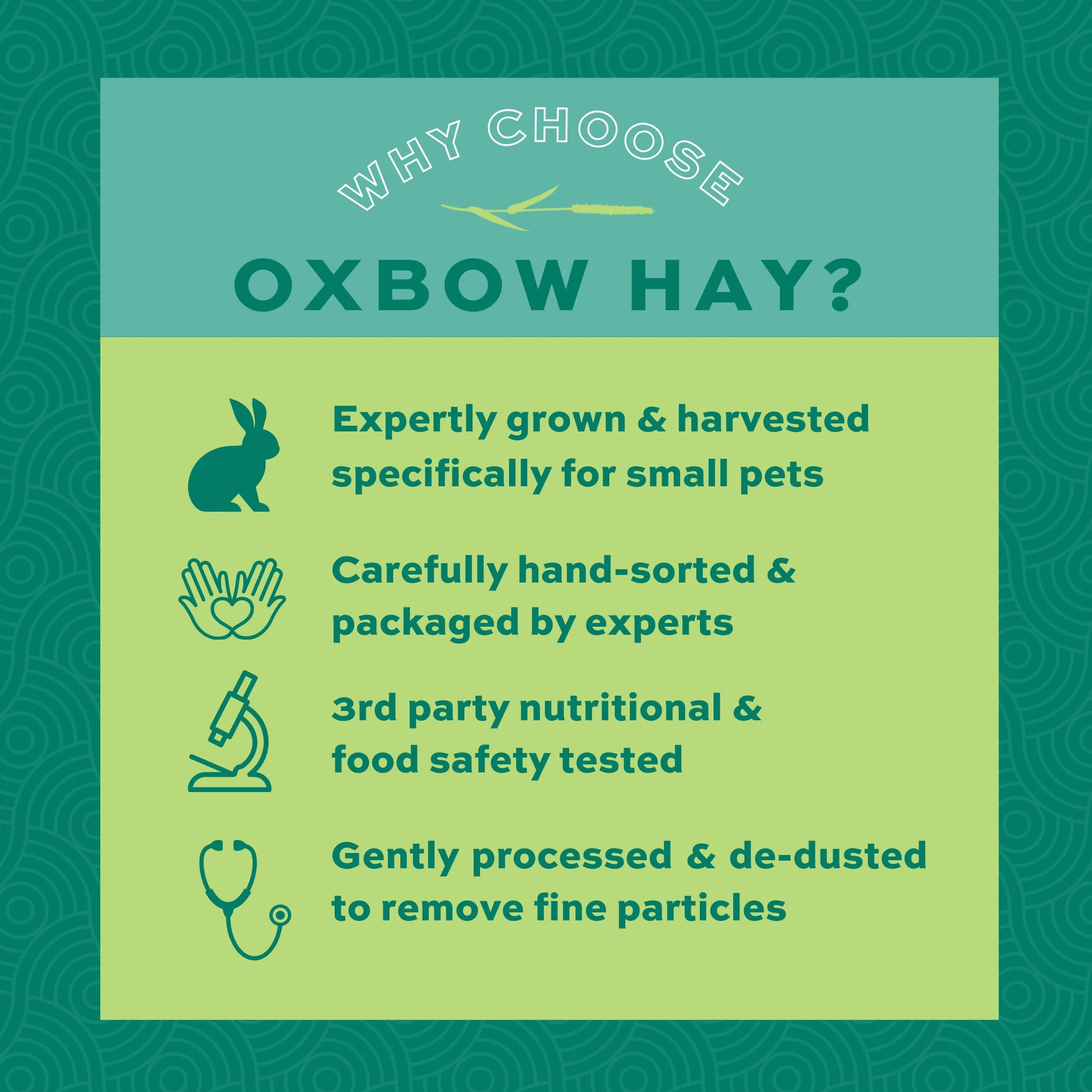 Orchard Grass Petlife Oxbow - Heno para mascotas pequeñas, 4,05 kg