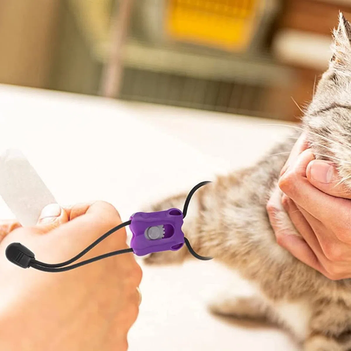 5 vendas elásticas de liberación lenta y rápida para mascotas, torniquetes de control hemostático para perros, gatos, animales