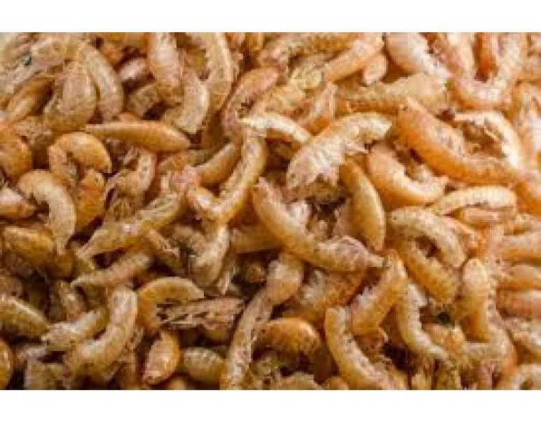 GAMMARUS - GAMBAS ALIMENTO Natural para Tortugas Bolsa 500gr