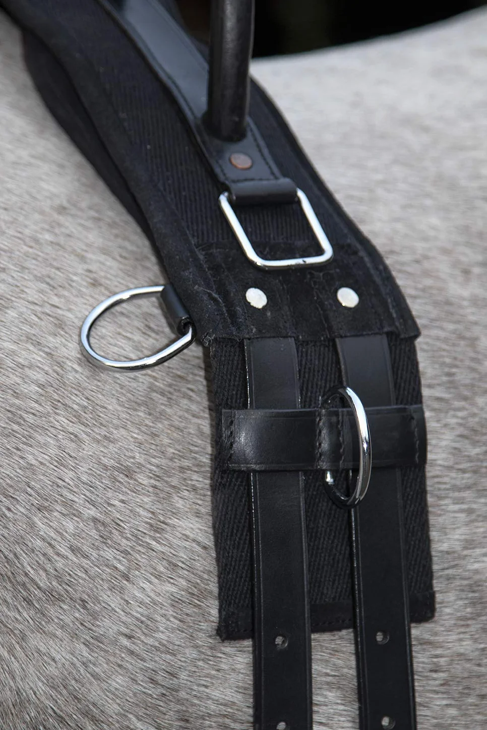 HKM Canvas Cinchuelo con mango Negro Pony