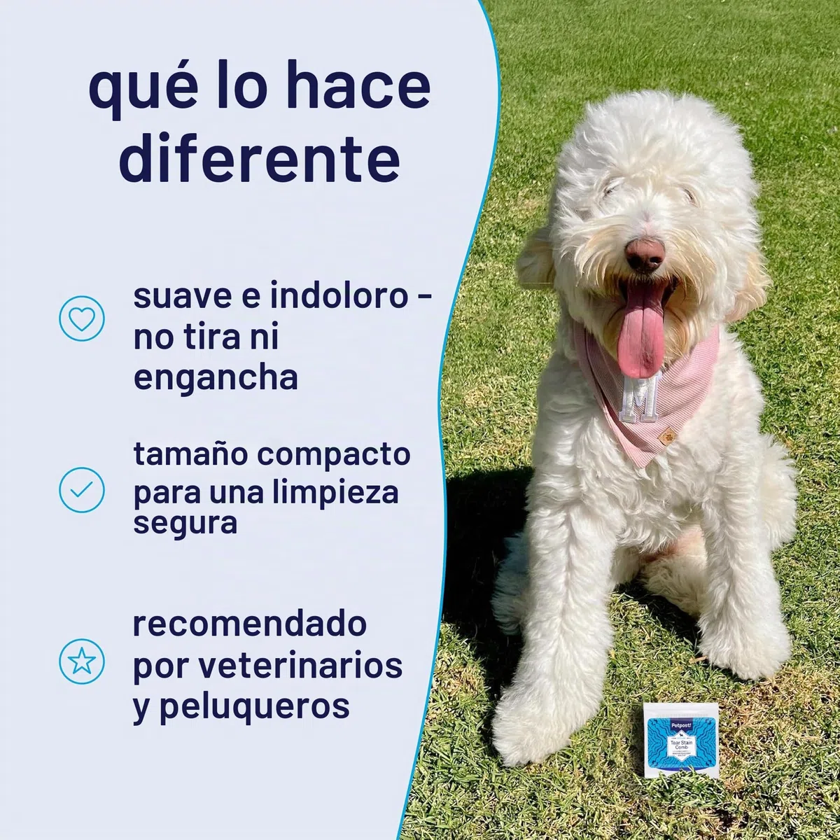 Petpost | Peine Cepillo Limpiador de Manchas Oculares para Perros – Con Dientes Extra Finos para Quitar Eficientemente Costras y Mucosidad a tu Shih Tsu o Maltés