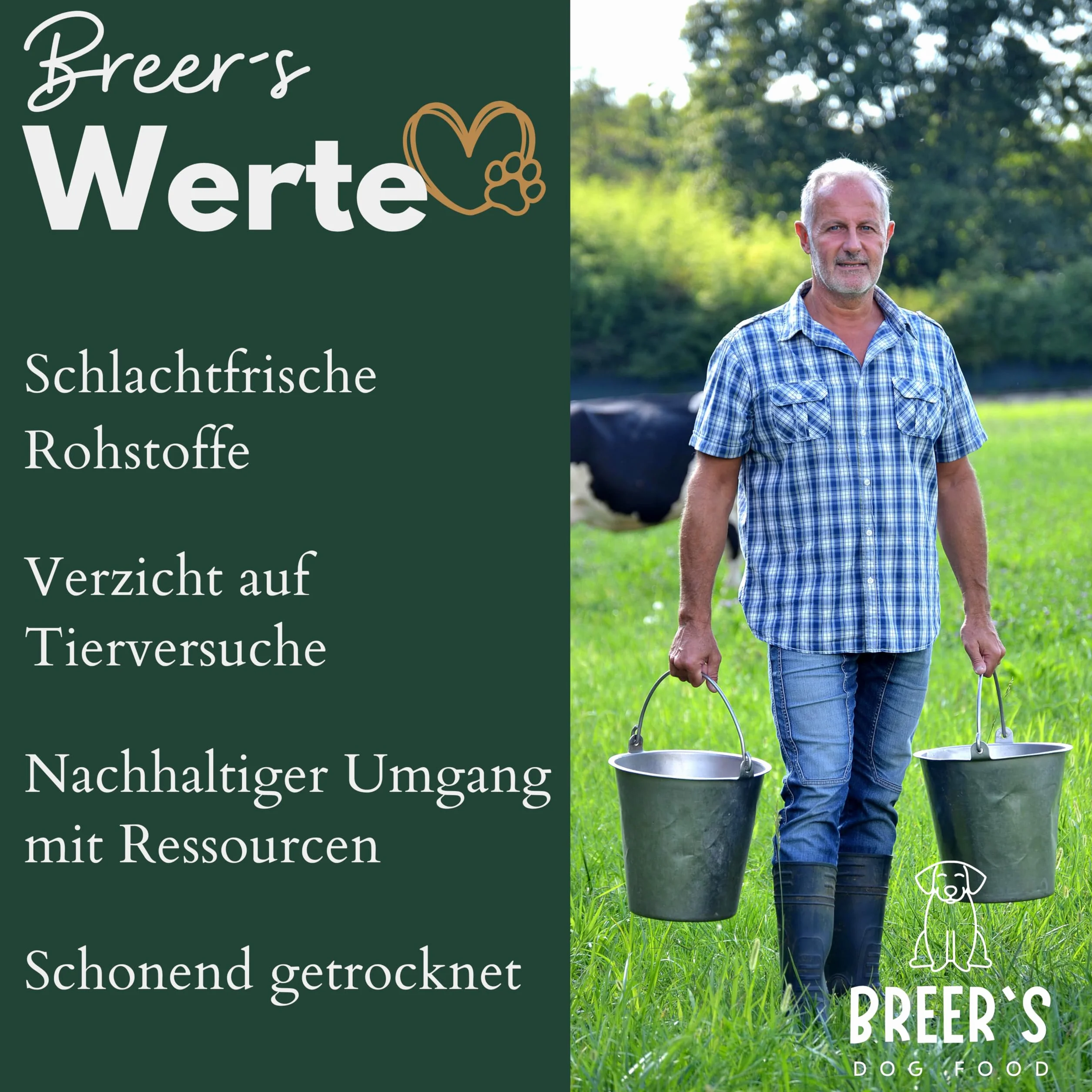BREERs - Orejas de Vacuno Secas con Concha para Perros, Premios Perros, 2 kg, de Fabricación Alemana Propia, Artículo para Masticar Grandes y Pequeños