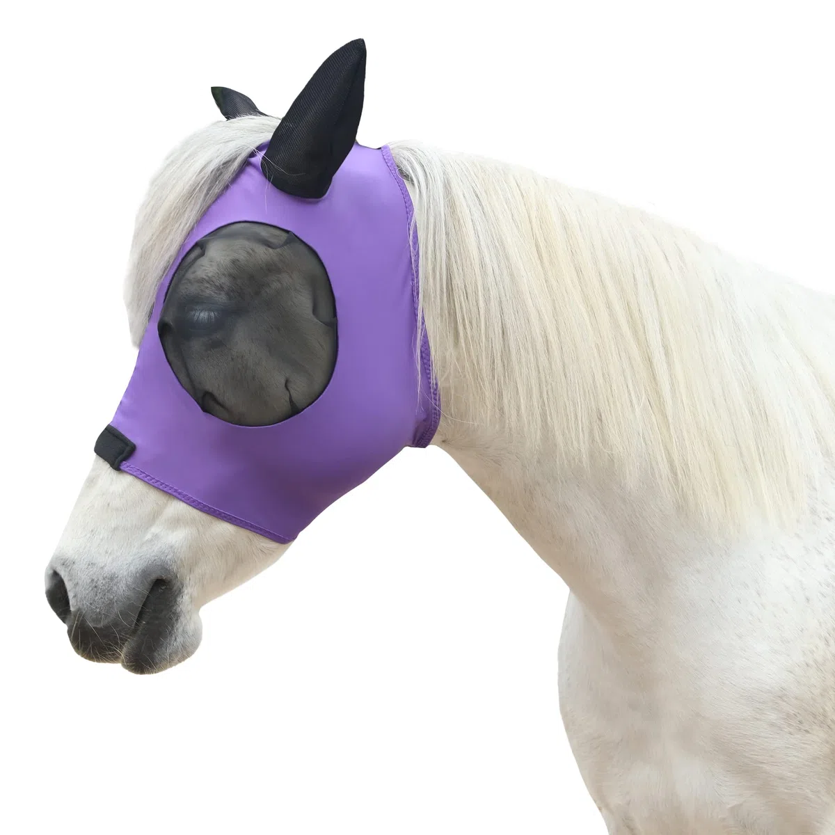 LEAFOREST Máscara de malla para caballo con orejas, máscara de malla suave anti-UV con orejas, color violeta, completo