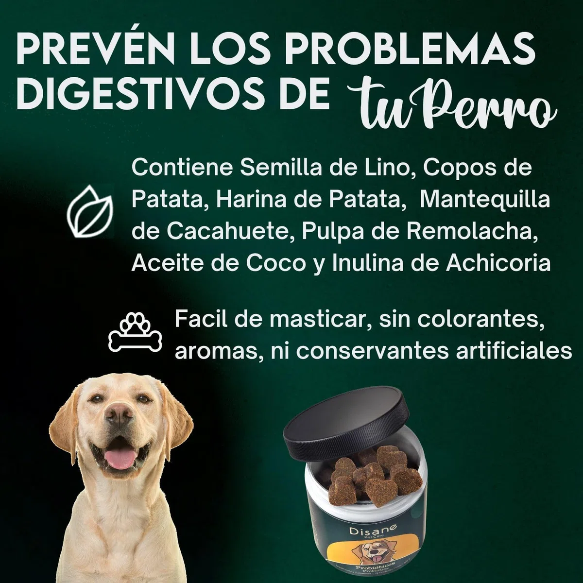 Disane Probióticos para Perros Natural | Complemento Alimenticio para la Mejora de la Flora Intestinal, Bienestar Digestivo, Diarrea, Alergias Antipicores | Sabor Carne | 60 Unidades