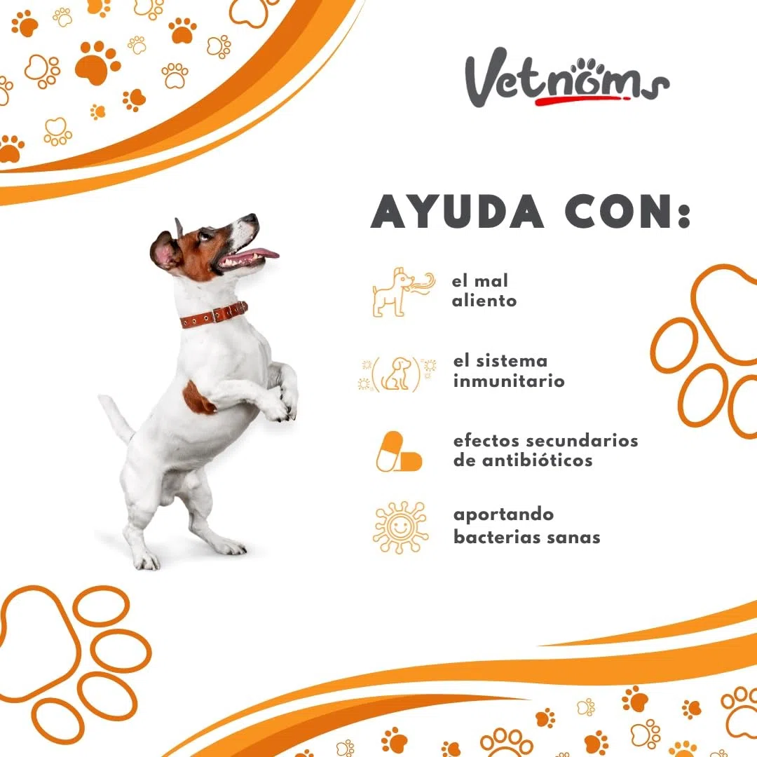Probioticos Perros en Polvo - Probióticos para Perros Uso Diario. Alivia Diarrea, Dermatitis Perro, Alergias, Pelaje Sano. Antiinflamatorio Gastrointestinal para Canes.