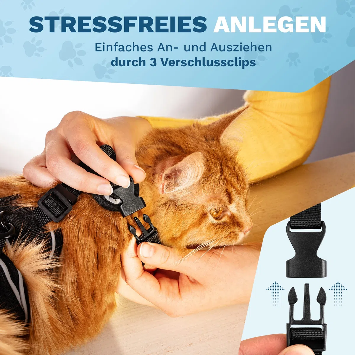 Arnés para gatos – Arnés resistente con correa para paseos seguros (XS, Negro, Rayas)