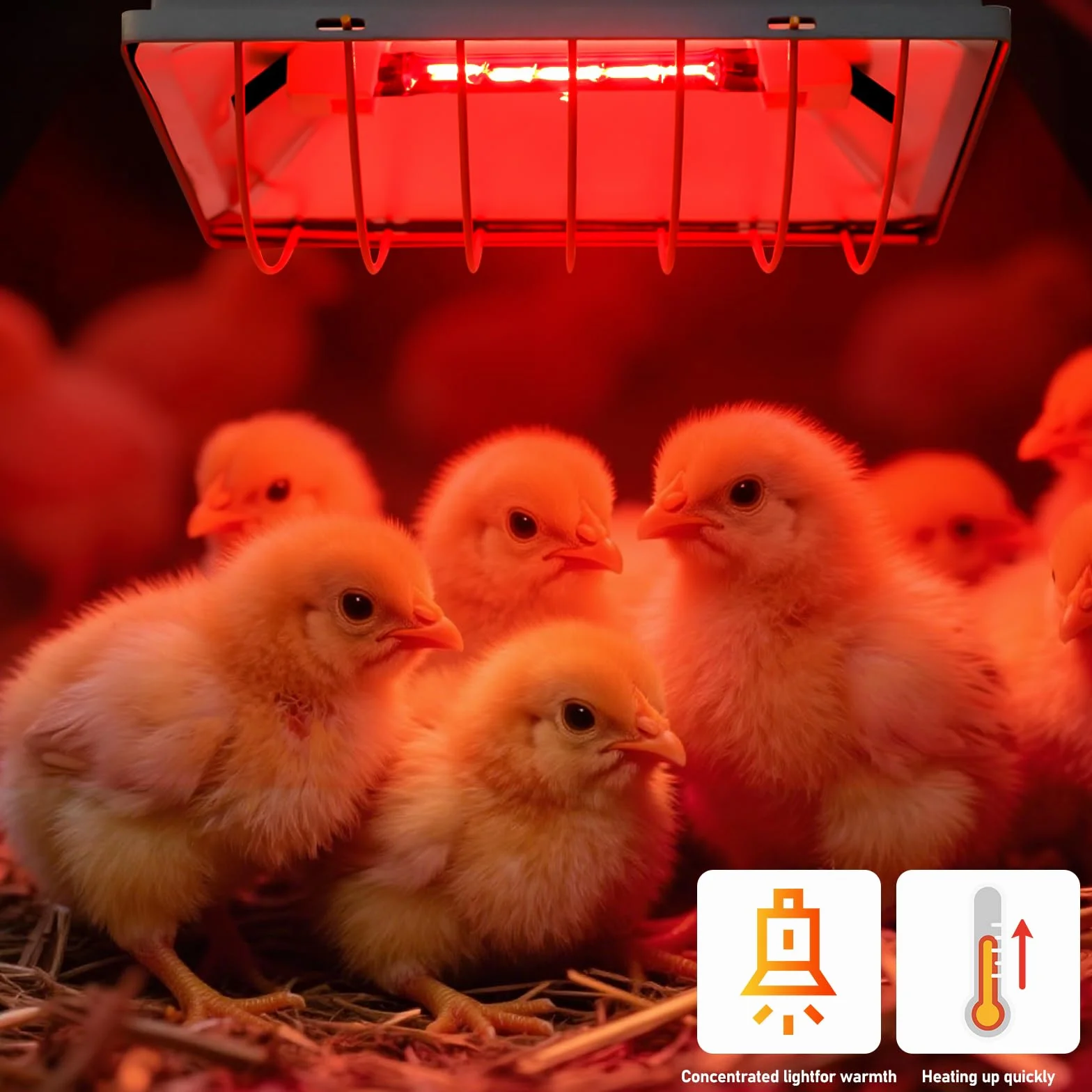 Lámpara de calor de 1,8 metros, emisor de calor, lámpara infrarroja de luz roja con interruptor, lámpara de calor para animales, lámpara de calefacción para gallineros, para pollitos etc. (175 vatios)