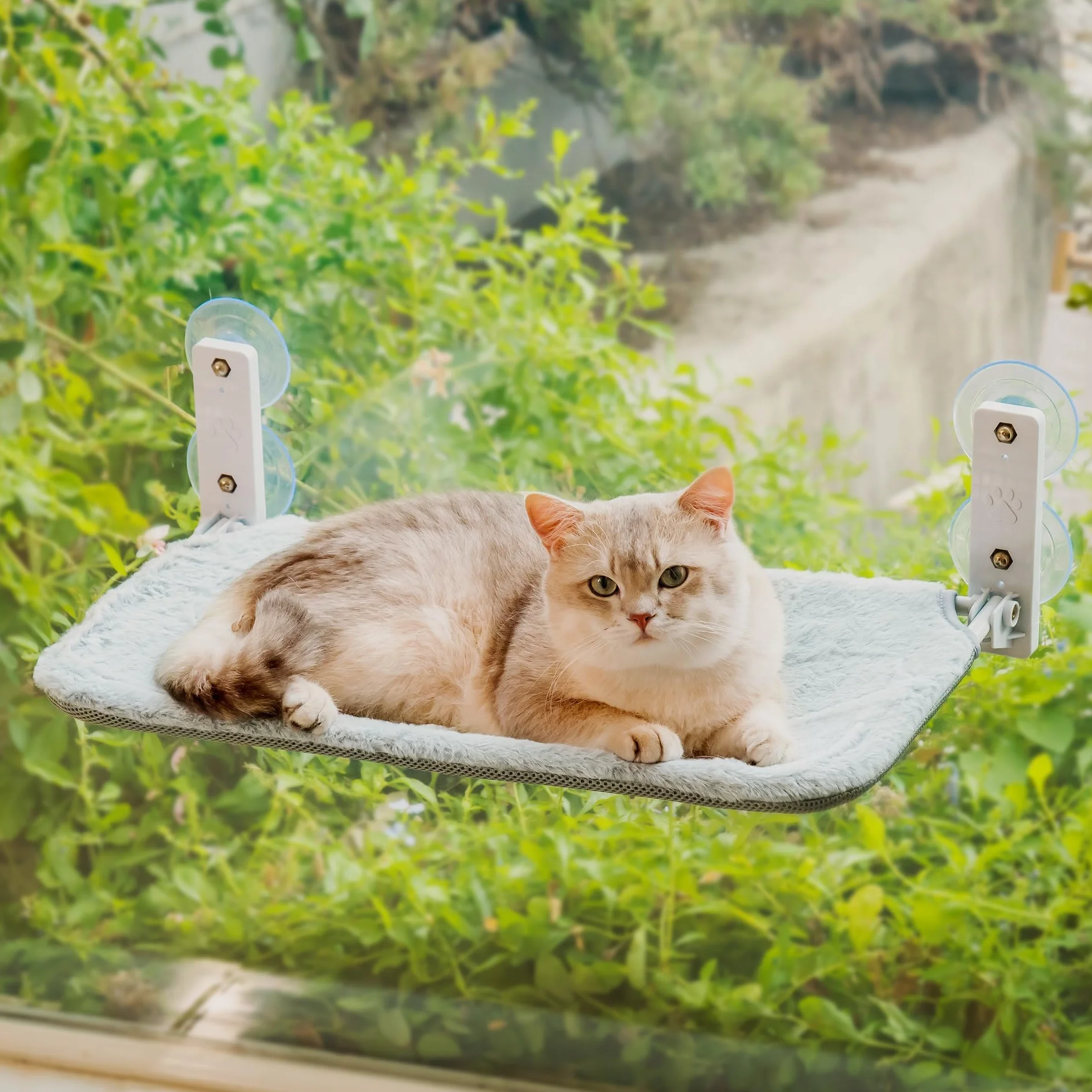 EDAGNY Hamaca para Gato Ventana Confort con Alfombra Reversible y Lavable - 54x30cm Hamaca para Gato Cama Ventana Estructura Metálica Resistente Soporta 18kg, Gris M