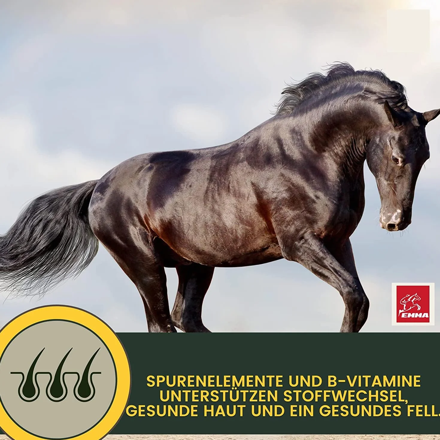 Caballo de refuerzo para el estómago, probióticos, levadura de cerveza, vitamina E, caballo, cultivos de levadura, microflora intestinal, tracto gastrointestinal, pasta de vitaminas I después de