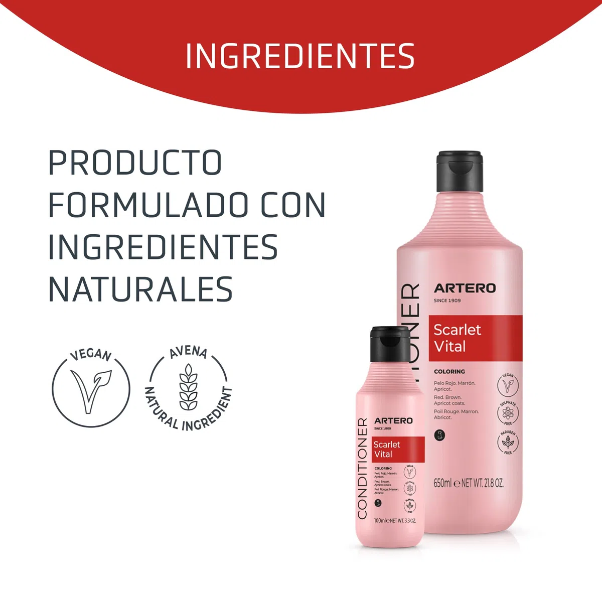 Artero Scarlet Vital Mascarilla Intensificadora de Color para Perros de Tonos Rojos, Marrones, Chocolates y Apricot. 100 ml