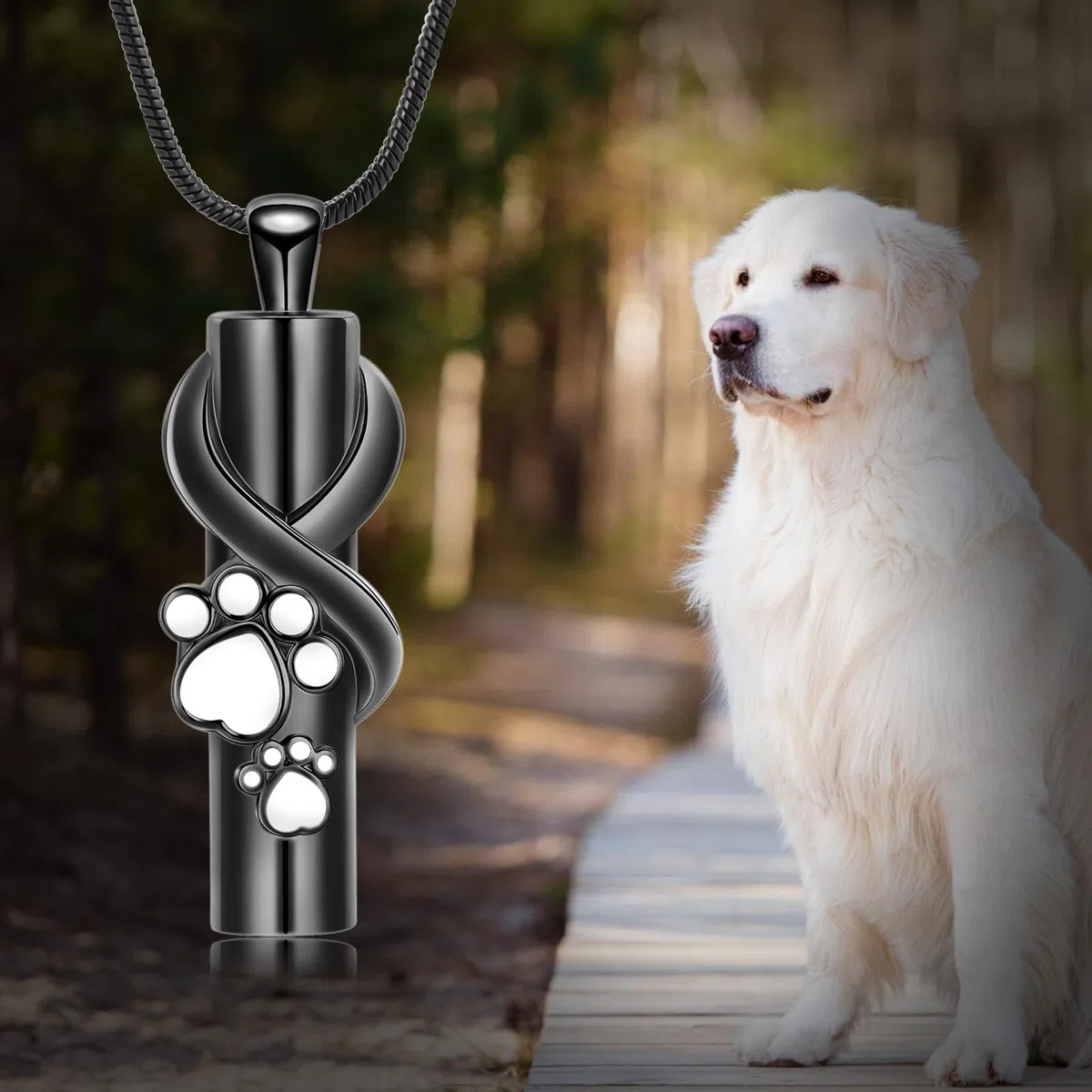 Urnas collar para cenizas para perro/gato mascota huella cilindro ceniza colgante conmemorativo joyería recuerdo mascota urna joyería cremación joyería