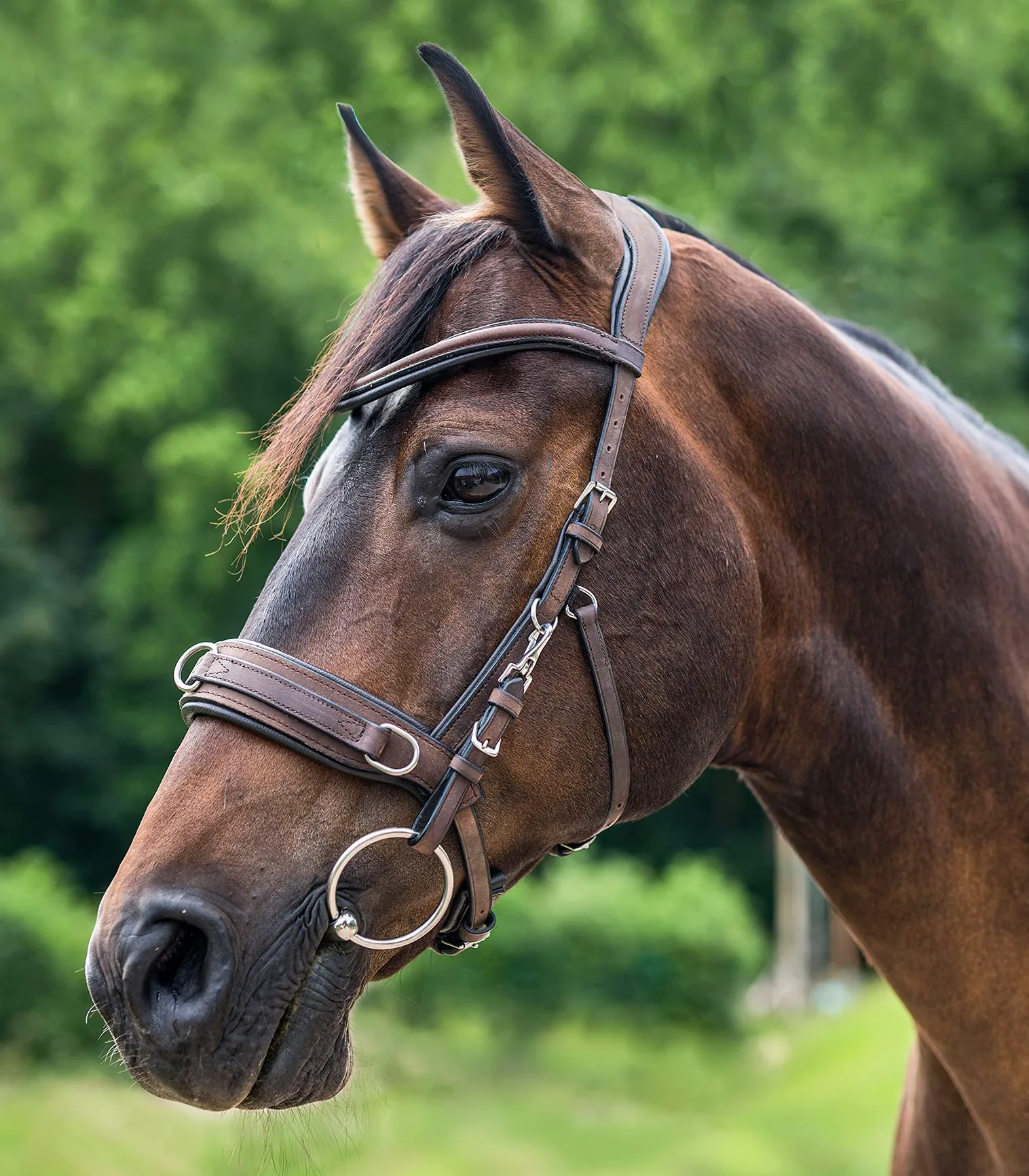 Leder-Kappzaum anatomic brown Pony