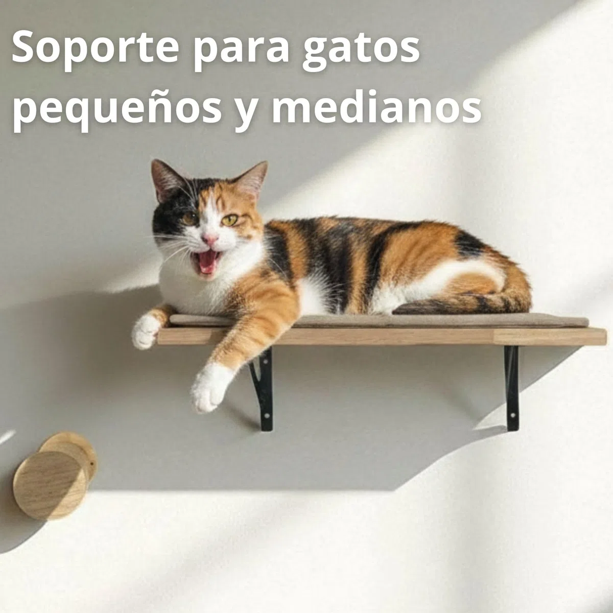 Estantería para Gatos Interior Ancla Mural con Plataforma de Descanso y Rascador de Sisal Antideslizante | Madera de Caucho Sostenible para Pared