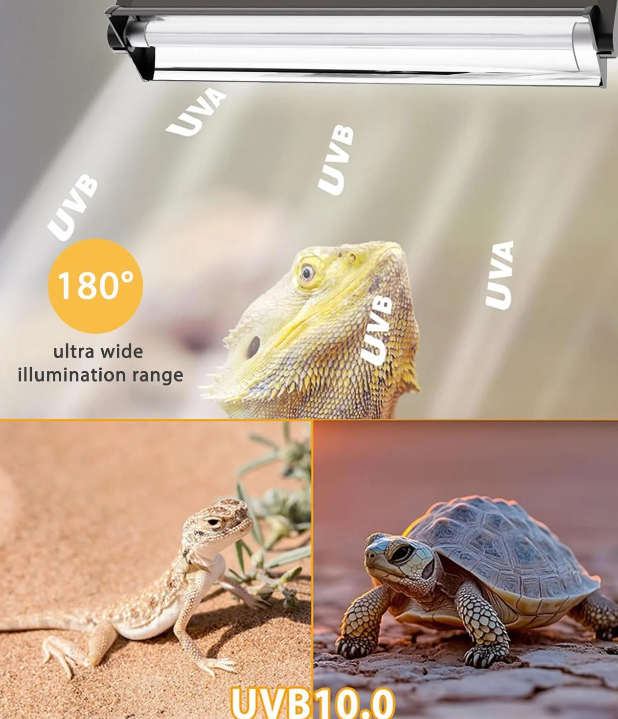 Kit combinado de lámparas T5 UVB para reptiles – 12 pulgadas 8 W, campana de terrario 10.0 UVA UVB foco con reflector de alta eficiencia para reptiles y anfibios del desierto (dragones
